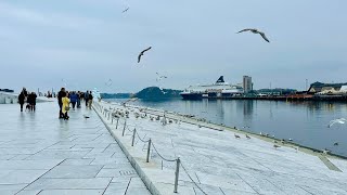 Thành phố Oslo - Thủ đô của Na Uy 🕊️🐦‍⬛