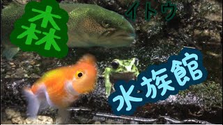 【実写】山梨にある森の水族館に行ってきた！