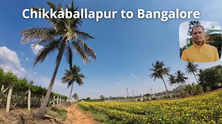 Unbelievable Sights Glimpsed on the Road From Chikkaballapur to Bangalore! #chikkaballapur