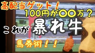 2019.9.08　　2019.9.16　暴れ牛の競馬BEEF