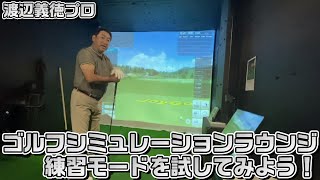 会員制シミュレーションゴルフラウンジ「HOLE IN ONE」で練習モードを試してみた！