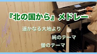 『北の国から』メドレー（遥かなる大地より〜純のテーマ〜蛍のテーマ） / さだまさし / エレクトーン演奏