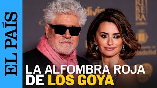 GOYA 2024 | Penélope Cruz, Bayona y otros nominados en la alfombra roja de los Goya | EL PAÍS