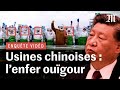 ENQUÊTE Comment la Chine a employé de force des Ouïgours dans des usines de poisson pour la France