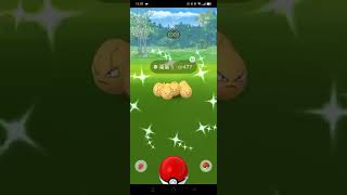 【餛飩】異色蛋蛋GET 春卵花開補償的限定調查任務｜Pokemon Go｜手遊｜色違