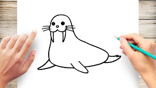 How to Draw Cute Walrus Step by Step