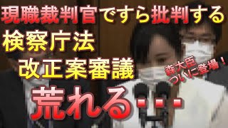 「まともな法治国家ではない」現職裁判官が批判！森まさこ大臣登場で大荒れの検察庁法改正案審議！【劇場と化す国会】【#検察庁法改正案の強行採決に反対します】