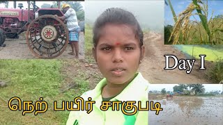 வேளாண்மை நெற்பயிர் சாகுபடி Day-I #நெல் #farmingsimulator22 #வயல் #வேளாண்மை #agricultural #பசுமை