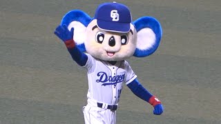 完封負けで3連敗した後の癒しドアラタイム (2022/04/29)