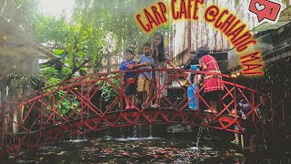 Carp Cafe #เชียงใหม่ คาเฟ่ที่มีปลาคราฟมากที่สุด  @หางดง เชียงใหม่