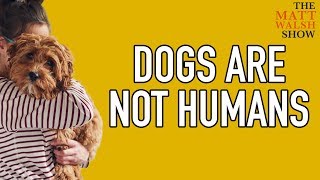 Dogs Are Fine But They're Not Humans