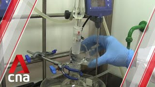 NTU scientists transform hard pollen grains into soft microgel particles