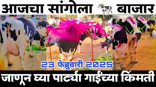 आजचा सांगोला गाई बाजार 23 फेब्रुवारी 2025 जाणून घ्या शेतकऱ्यांच्या व पार्ट्या गाई च्या या किंमती