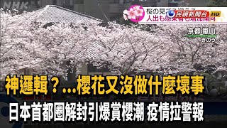 日本首都圈解封滿一週 各地湧現賞櫻人潮－民視台語新聞