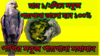 পাখির সবুজ পায়খানার কারণ এবং সমাধান।Birds Green Poops Problm and Solution.