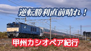 9011レ カシオペア紀行甲府行き EF64 1032[新潟]+E26系12B