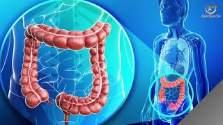 కడుపు నొప్పి లక్షణాలు మరియు కారణాలు ఏమిటి?| Symptoms of Stomach Pain