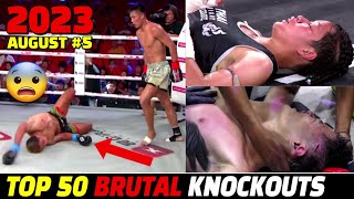 MUAY THAI & MMA, BOXING 50 Knockouts I August 2023 Part 5.