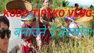 KODO TIPEKO VLOG बनाउने रे डल्लो ।