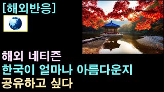 [해외반응] 해외 네티즌, "한국이 얼마나 아름다운지 공유하고 싶다."