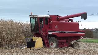 Landb. De Rijck - Asse - International 1460 Axial-Flow