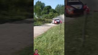 Phenomenal #fast #racing #race #sound #rallypoland #wrc #rally #rally1 #shorts