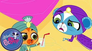 Littlest Pet Shop | Lights, Camera, Mongoose! | Season 1 | Pet Cartoon