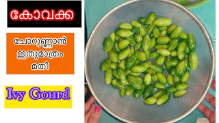 കോവക്ക 2 രുചികളിൽ | Kerala Style Ivy Gourd Preparation | മീനും ഇറച്ചിയും ഇല്ലെങ്കിലും ഇതു മതി 😋