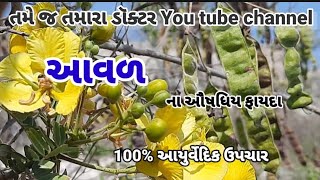 આવળ ના ઔષધીય ફાયદા | Cassia auriculata plant benefits |  आवल  के फायदे | Awal plant benefits