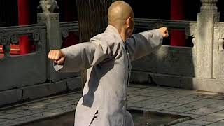 Shaolin  Da Hong Quan ' 少林大洪拳' 1/5