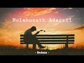 Nolabunath Adarei | නොලැබුනත් ආදරෙයි  [ slowed + reverb ]
