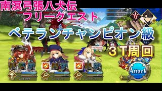 南溟弓張八犬伝ベテランチャンピオン級３T周回/FGO