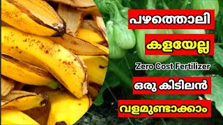 പഴത്തൊലി കളയല്ലേ ഒരു കിടിലൻ വളം ഉണ്ടാക്കാം |Shocking Truth| Banana Peel Fertilizer