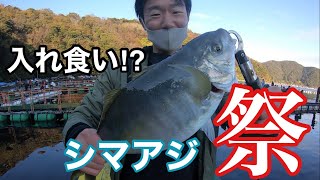 【海上釣堀】シマアジが超爆釣！高級魚が嘘みたいに釣れる！【フィッシングランド日向】