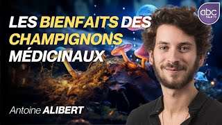 Antoine ALIBERT - Les bienfaits des champignons médicinaux