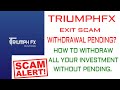 TriumphFX exit scam, Withdrawal pending problem solved, how to withraw successfully