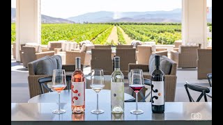 BOTTAIA Winery - An Exclusive Experience You Won’t Want To Miss!
