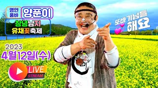 #명인품바양푼이 #창녕낙동강유채축제 4월12일 수요일#실시간공연