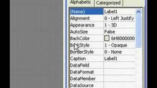 Visual basic 6 tutorial IP Checker