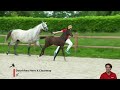 double clear nh z dourkhan hero x clearway