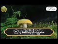 surah rahman soul soothing quran recitation relaxing tilawat