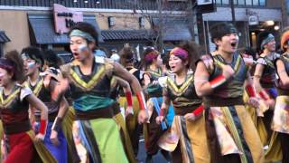 バサラカーニバル２０１３　１８代目名古屋学生チーム　鯱　「EARTH BEAT（あーすびーと）」 公園線中央会場演舞