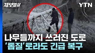 폭설에 나무까지 쓰러졌다...'톱질'로라도 긴급 복구 [제보영상] / YTN