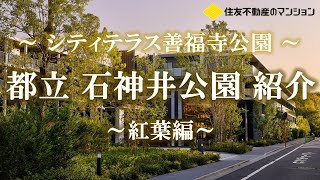 【シティテラス善福寺公園】都立石上井公園のご紹介動画　  住友不動産のマンション