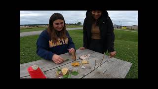 Week 2 - Natural Loose Parts: People and Places