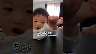 ちょーだい! のベビーサインやりはじめた 1歳8ヶ月 baby sign #short #cute #family #baby #keluarga #sayang #परिवार #बच्चा