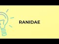 What is the meaning of the word RANIDAE?