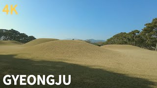 경주 오릉 | 경주의 관문 | January  2024 | 경주여행 | 랜선여행 | 4K HDR