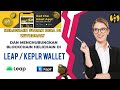 HELICHAIN SUDAH BISA DI WITHDRAW BEGINI CARA MENGHUBUNGKAN BLOCKCHAIN HELI KE LEAP / KEPLR WALLET