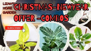 combooffers#plants#indoorplantnursery #plantlover #gardening#garden #sale #indoorplants#philodendron